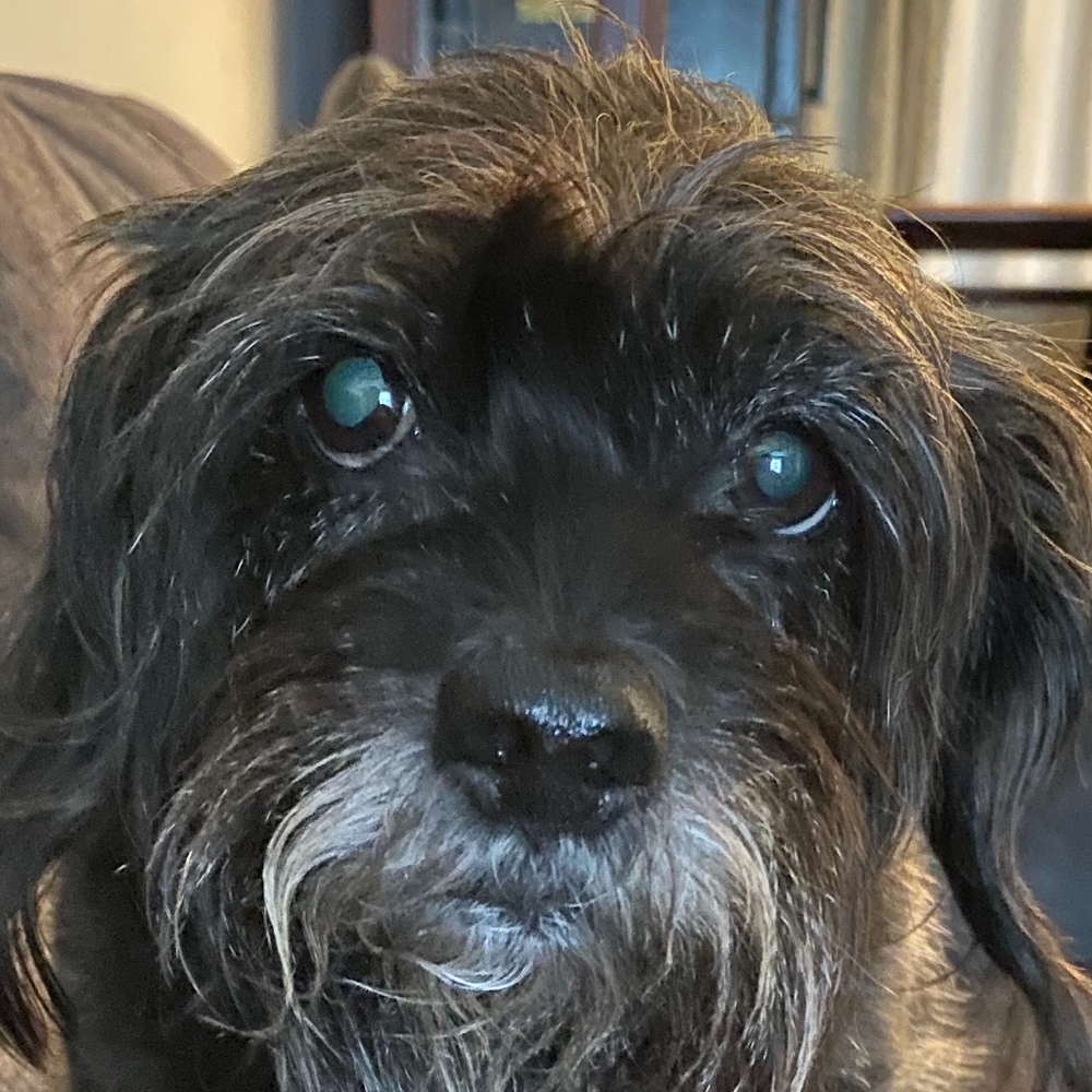 Meet your Posher, Posh